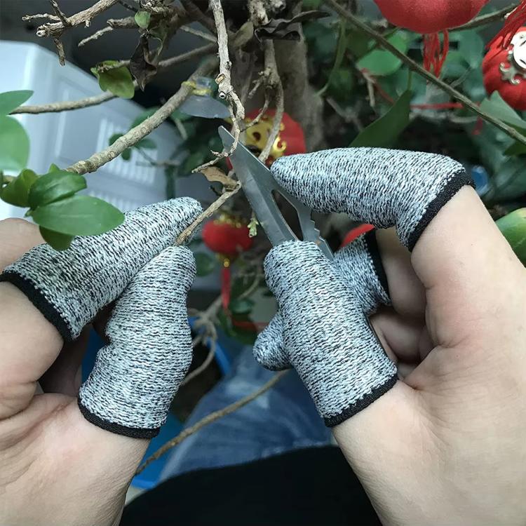 TBD06065060_B8.jpg@26b6466573ff3743ef23b85516501514