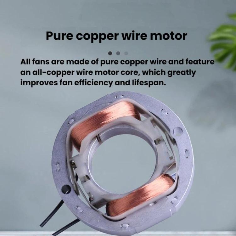 TBD06065100_B3.jpg@f7f4139c4b8da5fc31070335d97e282b