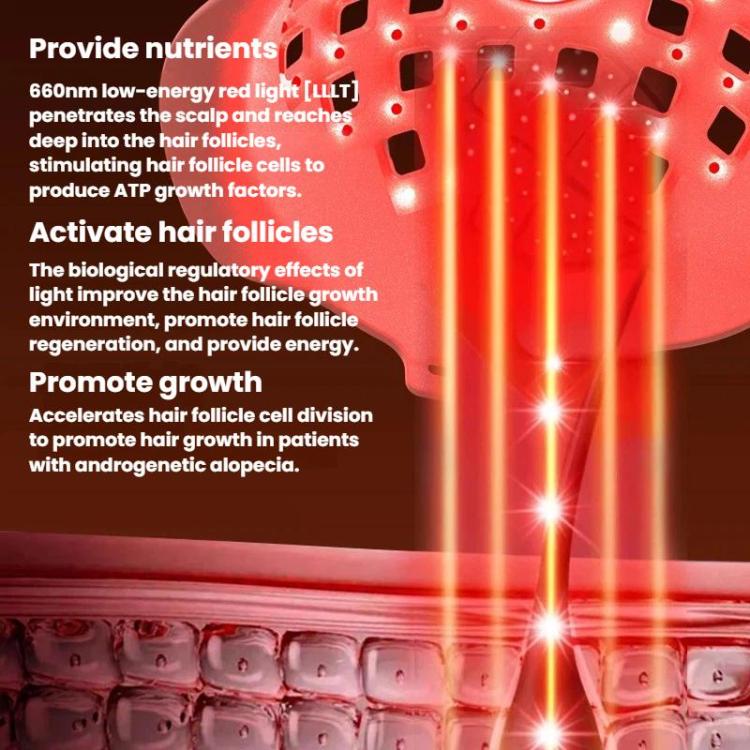 TBD06065352_B5.jpg@06c19ab2e8c6c35e4f1197ed0eaffdc9