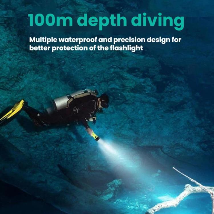 TBD06065531_B2.jpg@9adac408be6d76f312c873295bf92517