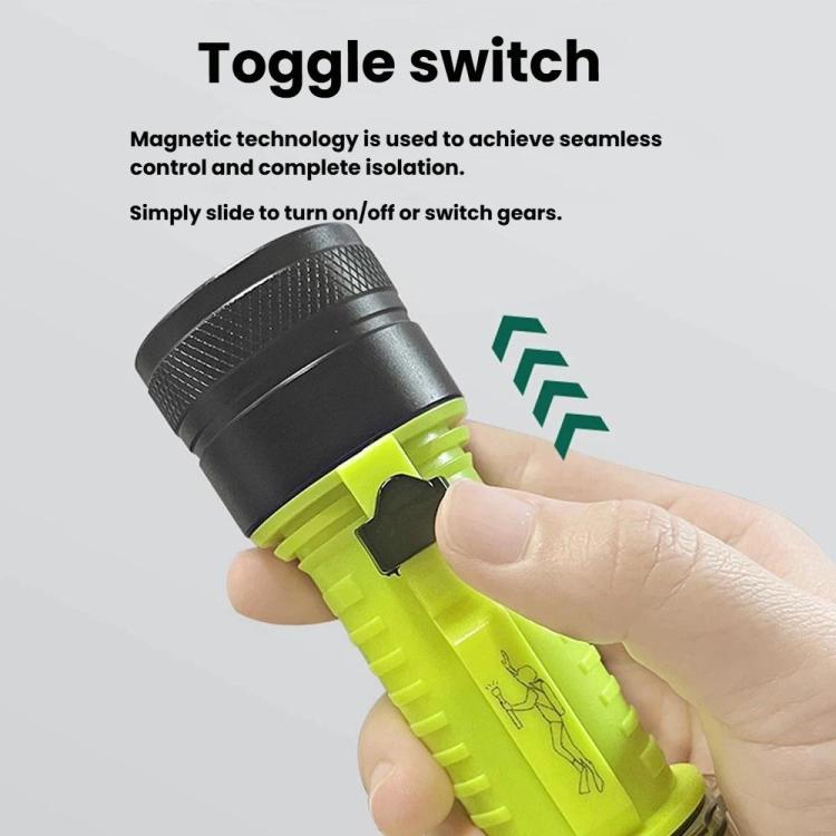 TBD06065531_B5.jpg@339bd19f93247fe3557be4876281c20e