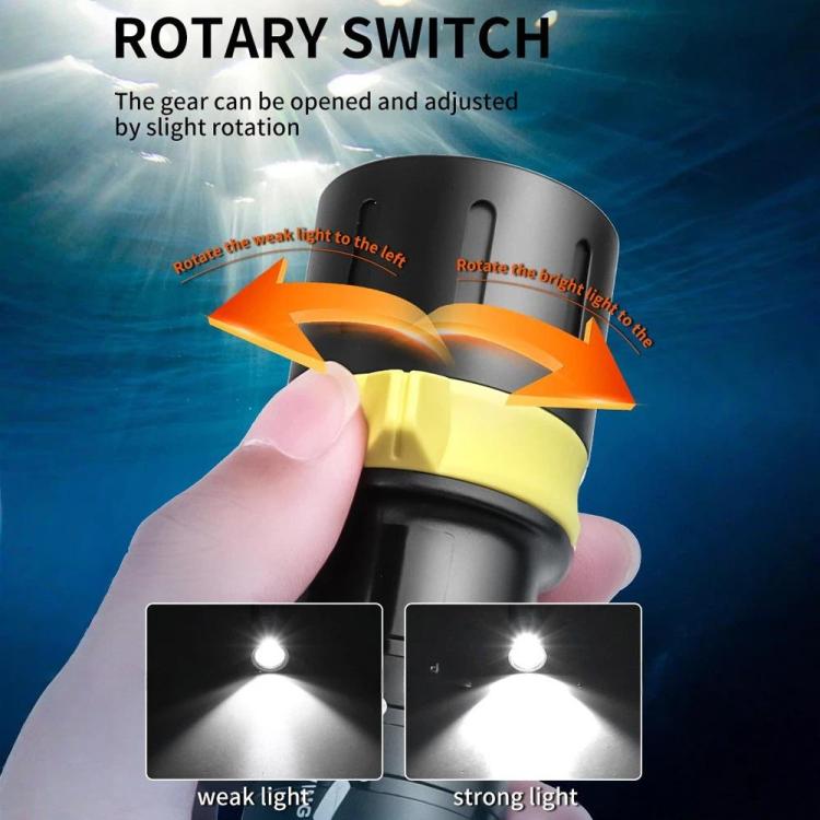 TBD06065554_B7.jpg@004aa8bf0c4dcf00ab74848cbe2a5281