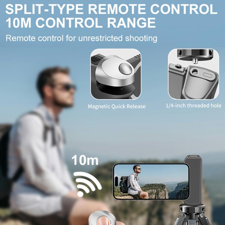 TBD06066291_B2.jpg@f8f862ba54b63bc56d2edaefac94b3b2