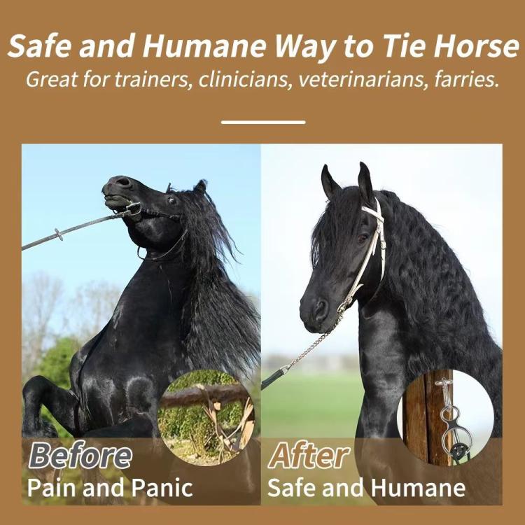 TBD06067301_B4.jpg@f9b0ad354905848fcce116961c6bf8c8