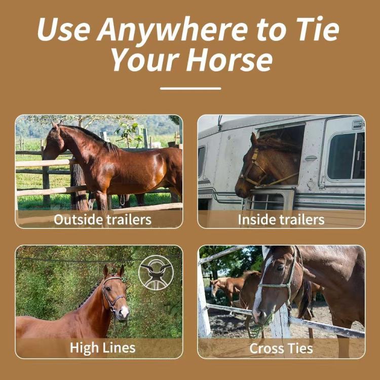 TBD06067301_B5.jpg@446e3b0857f4ce2ff4e9cb455ae404e7