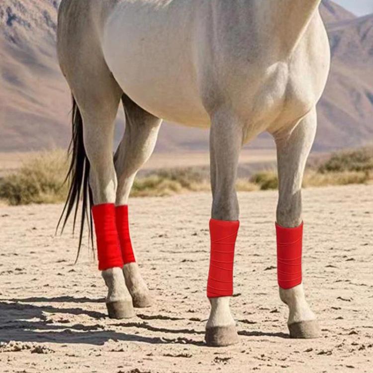 TBD06067312_B3.jpg@ca4281b61d16c98d2343ee7d062ad122