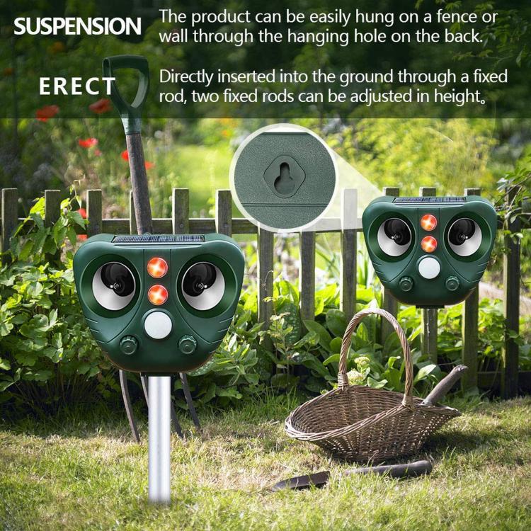TBD06068314_B5.jpg@acb7f5c51a9ec8e29767d8cbb2589c83