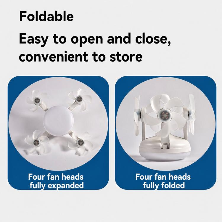 TBD06069566_B11.jpg@b0f8132cc0a8efc49cffaf258a57a7d2