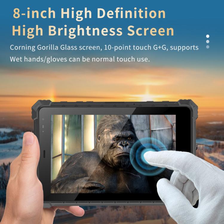 WMC2586_B4.jpg@7f340bacb5e5eecad5e95f047c2c54c6