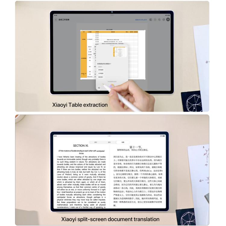 WMC6137_B8.jpg@7af09d14ac476959f8dfc7acbfad139a